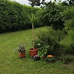 I Cipressi Casa * Ruina