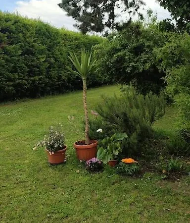 I Cipressi Casa * Ruina