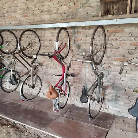 I Cipressi Casa Lejlighed *