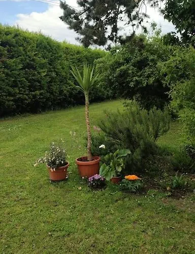 Villa I Cipressi Bed And Breakfast Casa Vacanza * Ruina